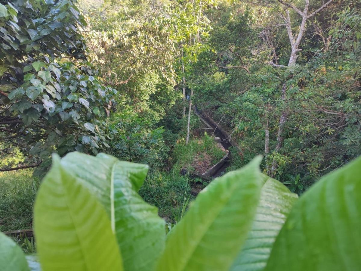 Little Wood Villa And Retreats Doluwa Kandy Exterior photo