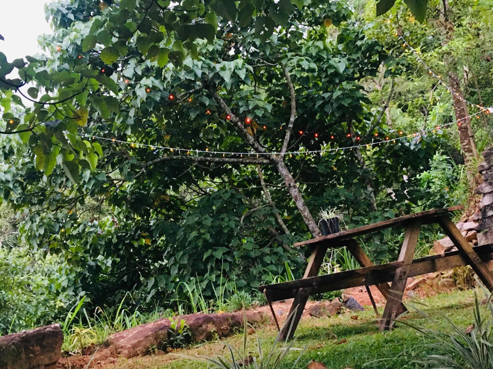 Little Wood Villa And Retreats Doluwa Kandy Exterior photo